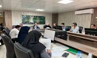 تعیین تکلیف ۱۱ پرونده در نشست هیأت نظارت ماده ۳۳ استان هرمزگان
