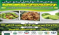 جشنواره لیموترش و خرما در شهرستان رودان 
