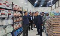 از مدیریت و رصد بازار تا جذب و توزیع کالاهای اساسی در شهرستان پارسیان 
