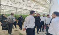 احداث ایستگاه هواشناسی در بخش رودخانه شهرستان رودان؛ پاسخی به نیازهای کشاورزی و گلخانه‌ای منطقه
