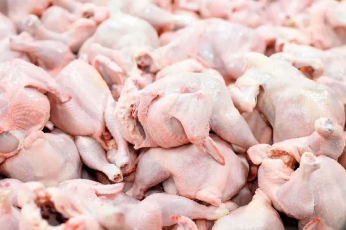 e12fb1e0-42d8-4881-971b-40142c6aa3f7 